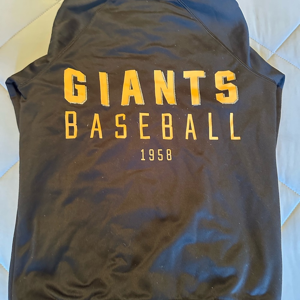 PINK Giants Baseball Hoodie
